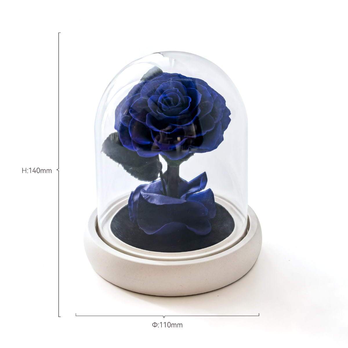 Noble Blue Premium Box