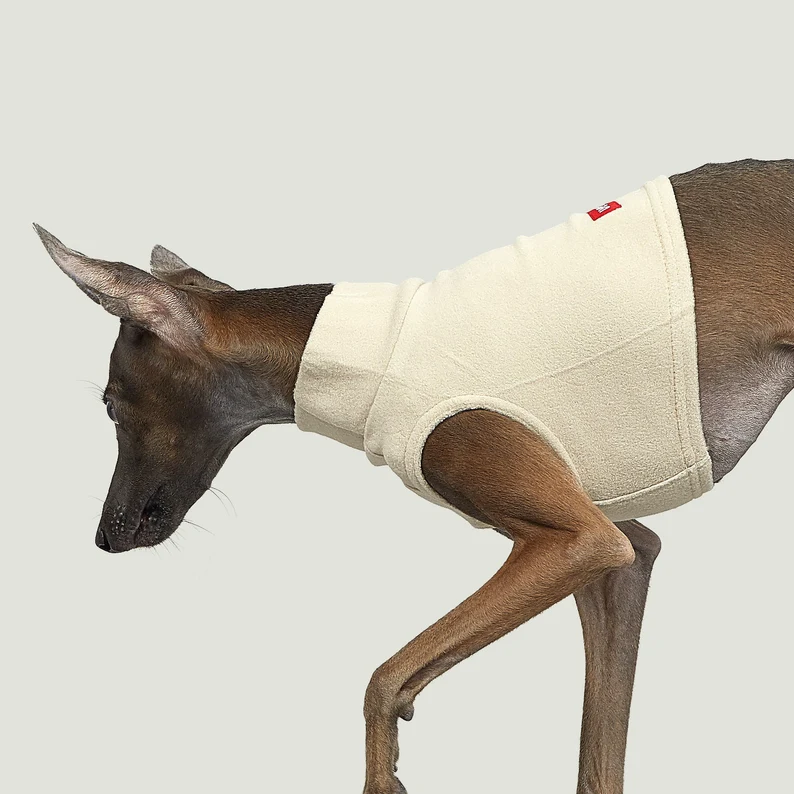 Noix de cajou Beige