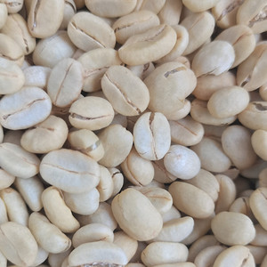 Maquinaria de procesamiento de granos de cacao al mejor precio - Product Image 6