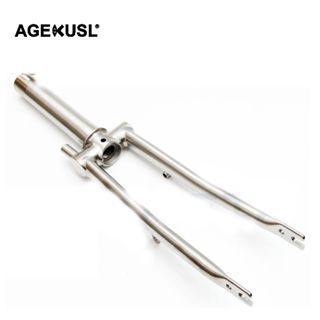 Gris argenté (fourche avant)