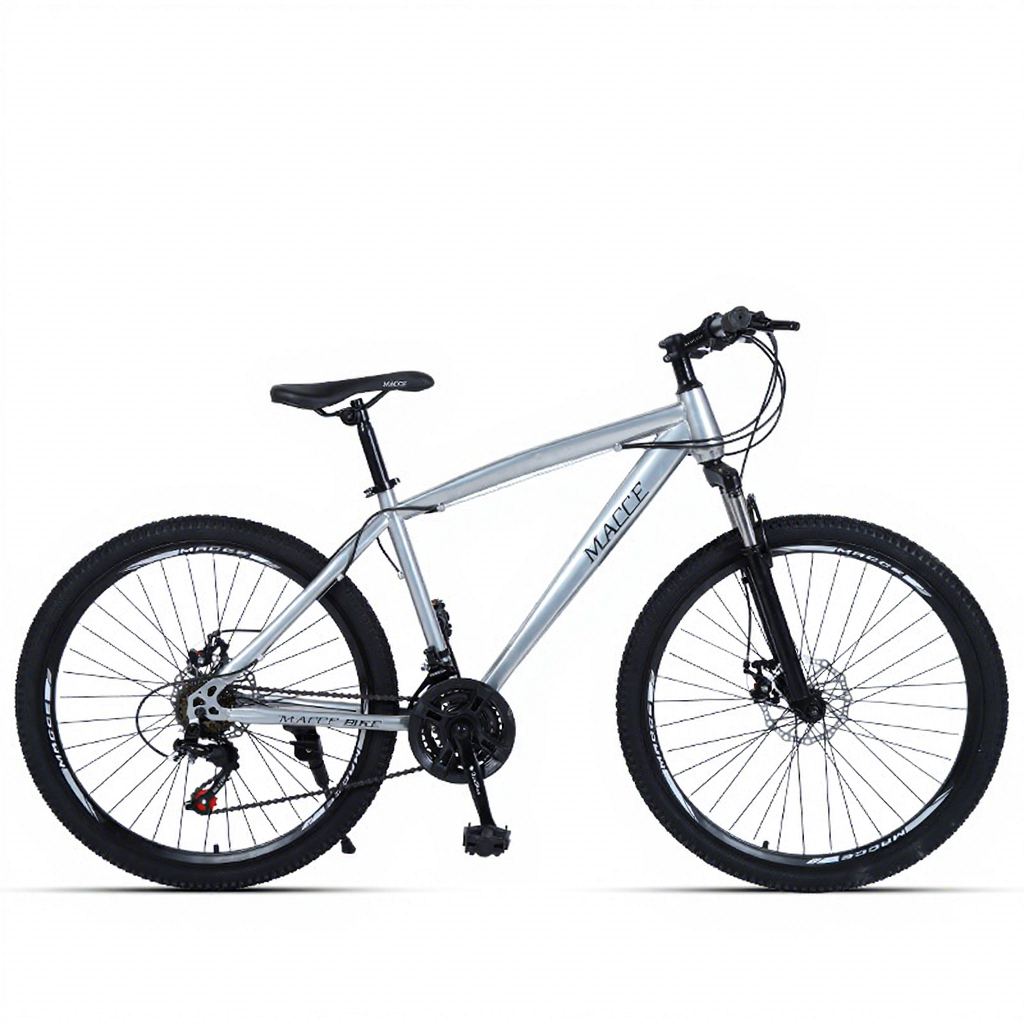 Silver spoke wheel