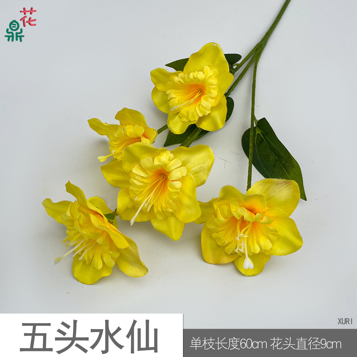 Narcisse XURI Jaune à cinq têtes
