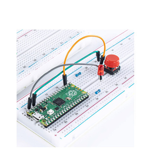 Ahududu Pi ile uyumlu, ahududu Pi PICO rpdevelopment geliştirme kurulu kiti, microPython programlama