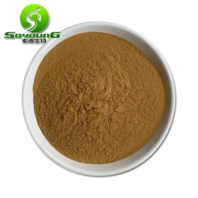 Polvo de Ganoderma Lucidum orgánico Natural marrón amarillo Extracto de hongo Reishi Ling Zhi en polvo