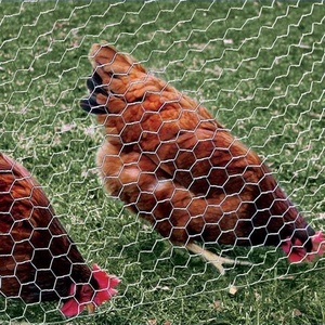 Vendita calda della fabbrica e rete metallica esagonale d'acciaio di alta qualità galvanizzata rete metallica esagonale/filo di pollo - Product Image 4