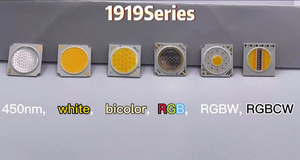 ชิป LED สำหรับถ่ายภาพ Ra98 CW5000K WW1800K 30W 24V แบบ5IN1 1917 rgbcw - Product Image 6