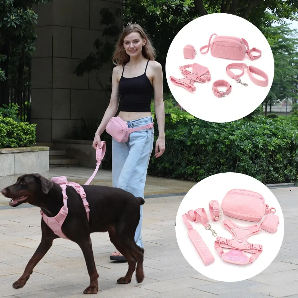Nuovi prodotti estivi 2024 set di imbracature per cani di lusso in velluto a coste collare per cani da addestramento per incisione di moda borsa da passeggio per cani