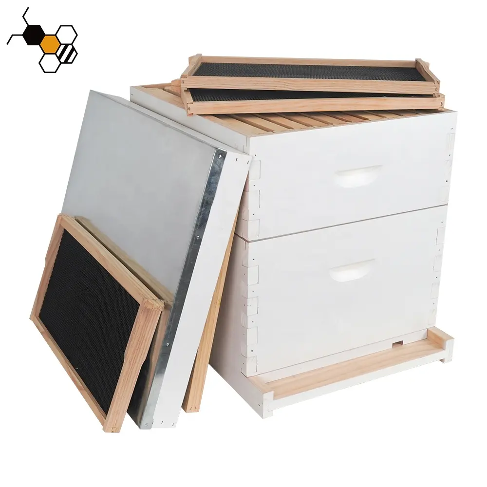 Kovan boyama beyaz ahşap Langstroth boyalı arı kovanları arı arıların kutuları
