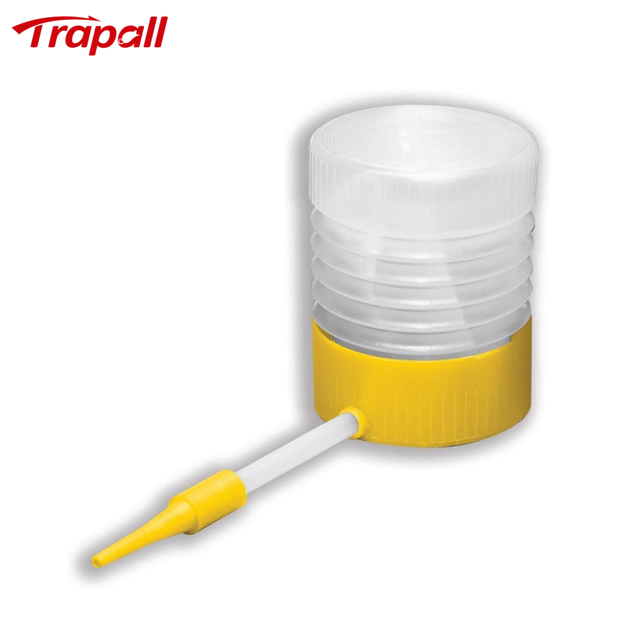 Blanco y amarillo