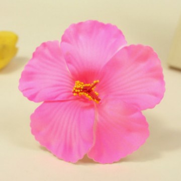 สีชมพู