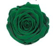 Verde scuro