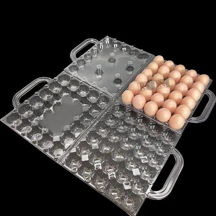 Özel tek kullanımlık delikler yumurta paketleme tepsisi şeffaf PET plastik Blister katlama tepsileri saplı