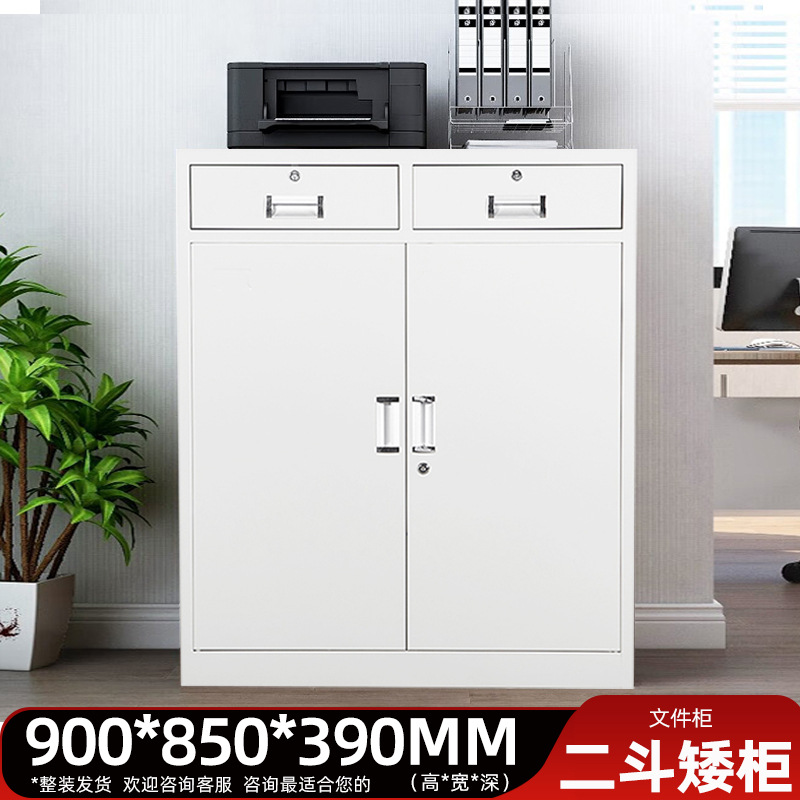 Two-bucket low cabinet