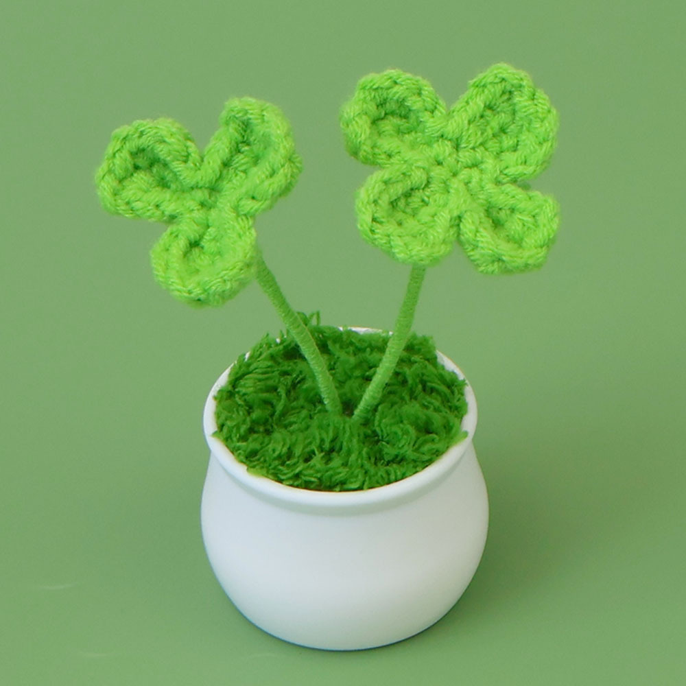 Due piante di trifoglio a quattro foglie in vaso - verde germoglio