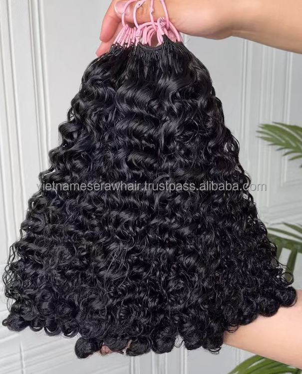 burmese curly