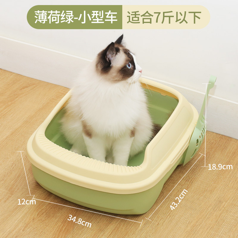 Mint Green - Small Car
