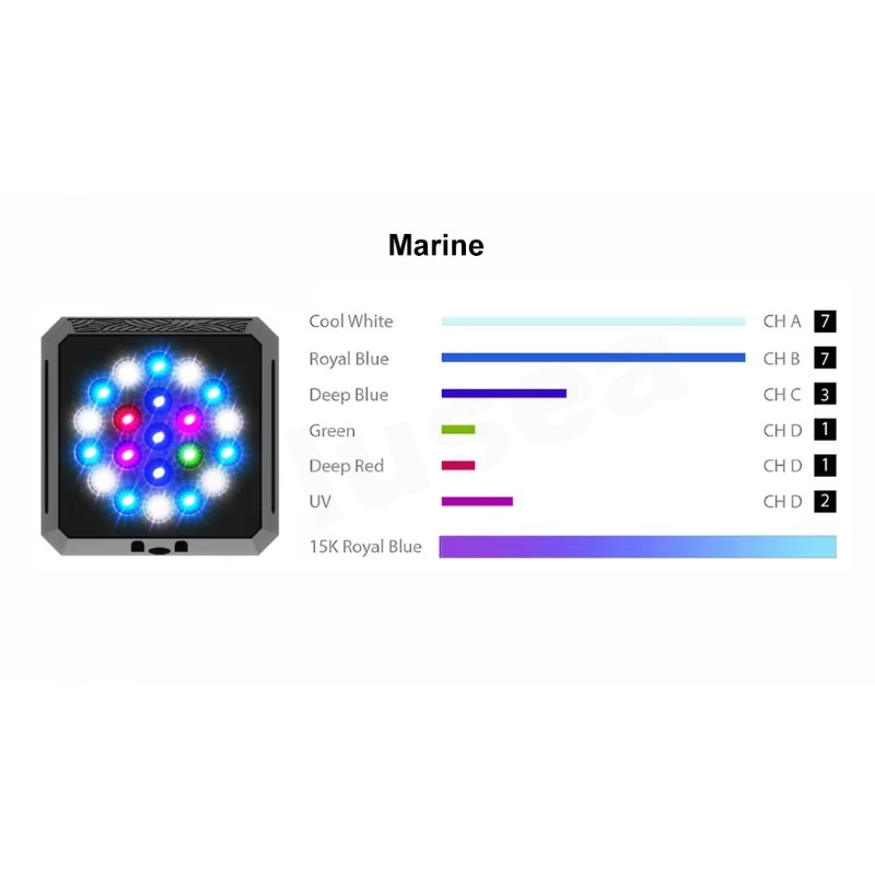 THOR-Marine