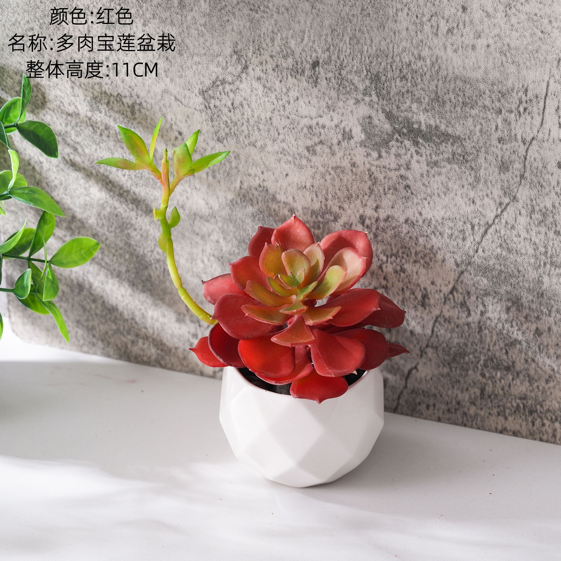 CF02245 Rouge