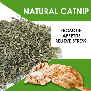 Hierba gatera seca a granel al por mayor de China, hojas sueltas Cat Mint 100%, Hojas de hierba gatera gruesa fina fresca natural cortadas