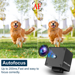 48MP 8K USB Machine Vision <strong>Camera</strong> CMOS 8000X6000 200ms Autofocus Mini Case <strong>Video</strong> Camcorder 70 Degree CCTV Lens Webcam - Product Image 4