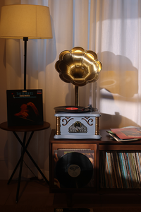 Handmade 12V <strong>Input</strong>/USB <strong>Output</strong> Audio <strong>Video</strong> Accessory Blue Alloy Horn Vinyl Record Player Wood Protective Coating Sprayed - Product Image 2