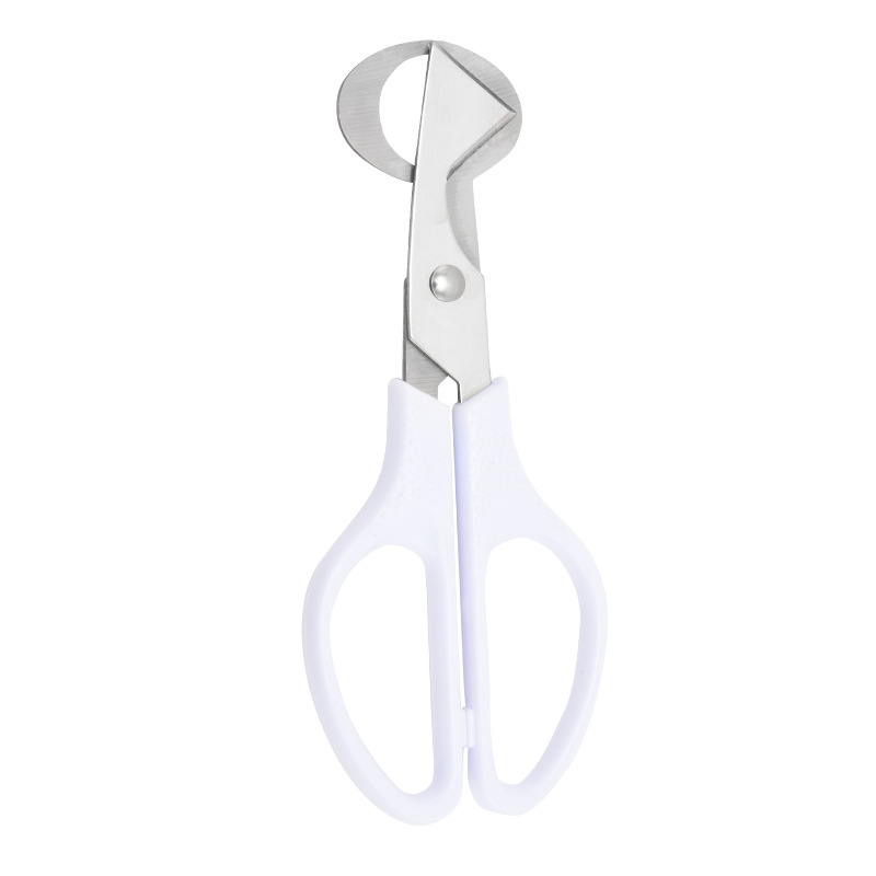 Cutter egg-white