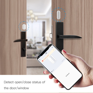 SLS Zigbee magnetico porta finestra sensore Tuya Smart Home sistema di allarme di sicurezza Alexa telecomando Android a batteria - Product Image 3