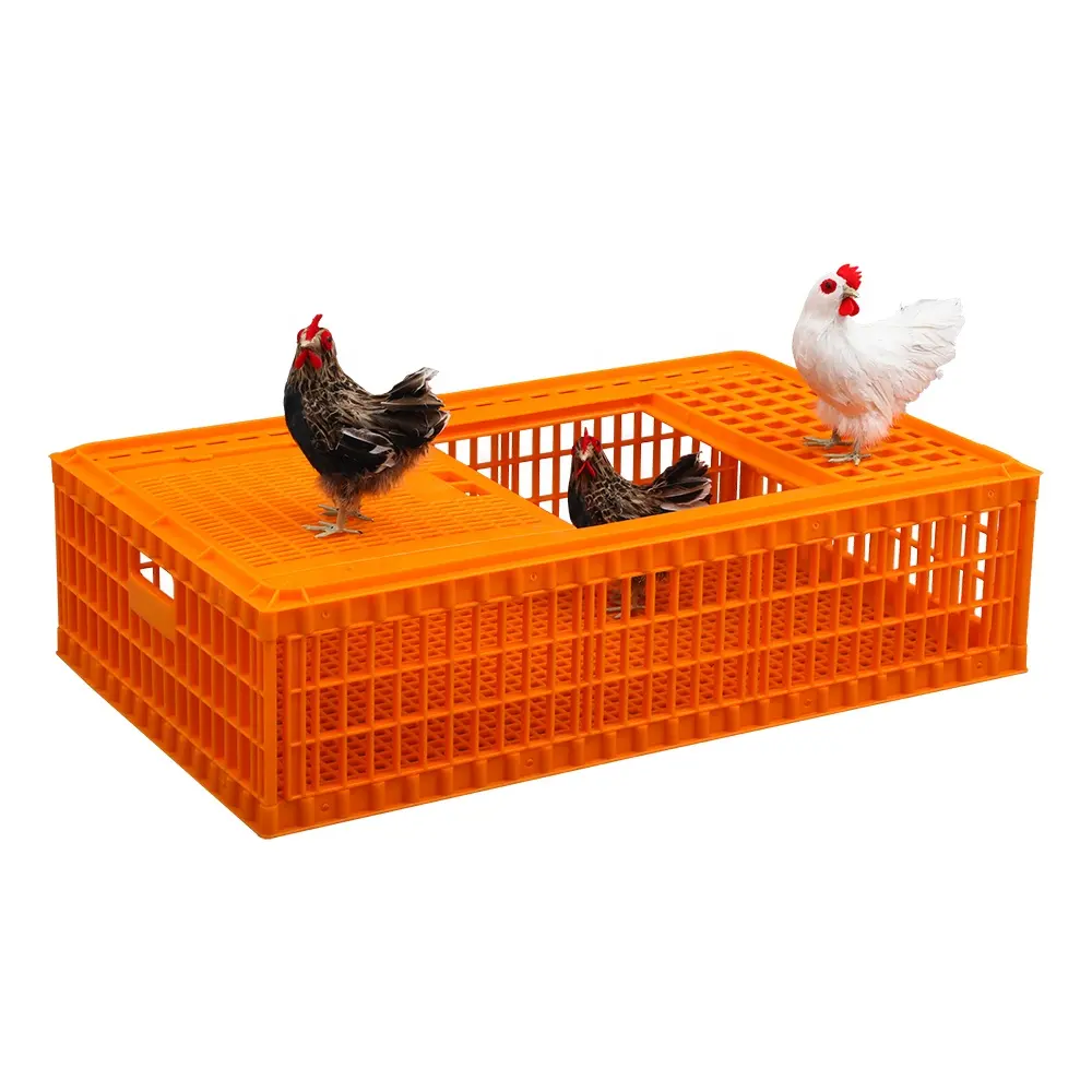 قفص نقل الدجاج/الدواجن, مصممة بشكل جيد بقدرة كبيرة 37.8 "* 22" * 10.6 "قفص نقل الدجاج البلاستيكي