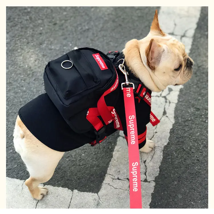 OEM ve ODM özel logo yeni Pet köpek çantası açık hava seyahati için sırt çantası evcil hayvan kendi çanta naylon torba köpek eyer sırt çantası