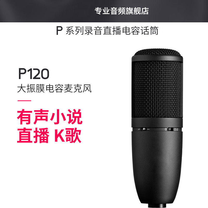AKG P120