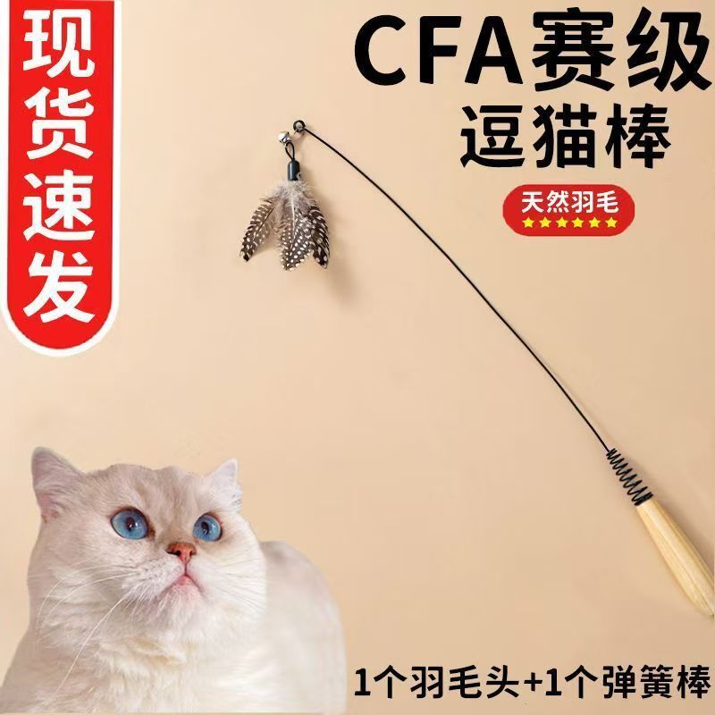 Jouet pour chat phare de haute élasticité de qualité compétition avec 5 plumes