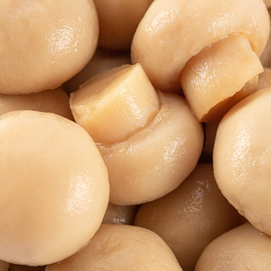 Cao cấp đóng hộp toàn bộ nút nấm chưa qua chế biến ẩm thực kho báu hương vị ngọt ngào thái lát nước trái cây tự nhiên phong cách tươi Muối nước muối - Product Image 4