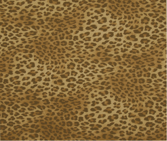 leopard Printing