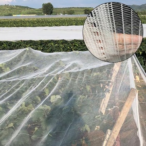 Anti grandine netto rete di protezione di plastica Agricoltura apple tree orchard anti grandine di compensazione - Product Image 2
