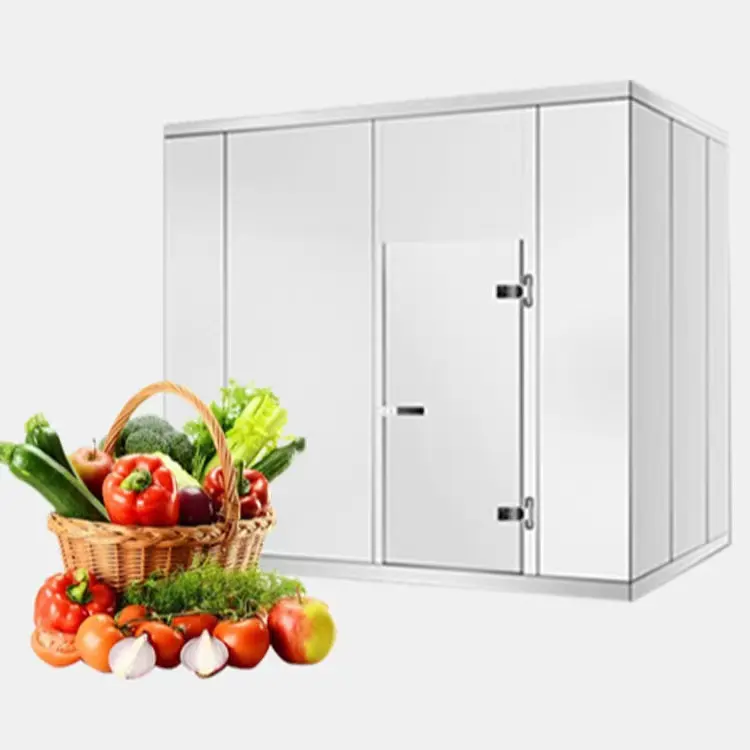 Viande commerciale poulet légumes poisson congélateur équipement de réfrigération chambre froide congélateur avec panneaux sandwich