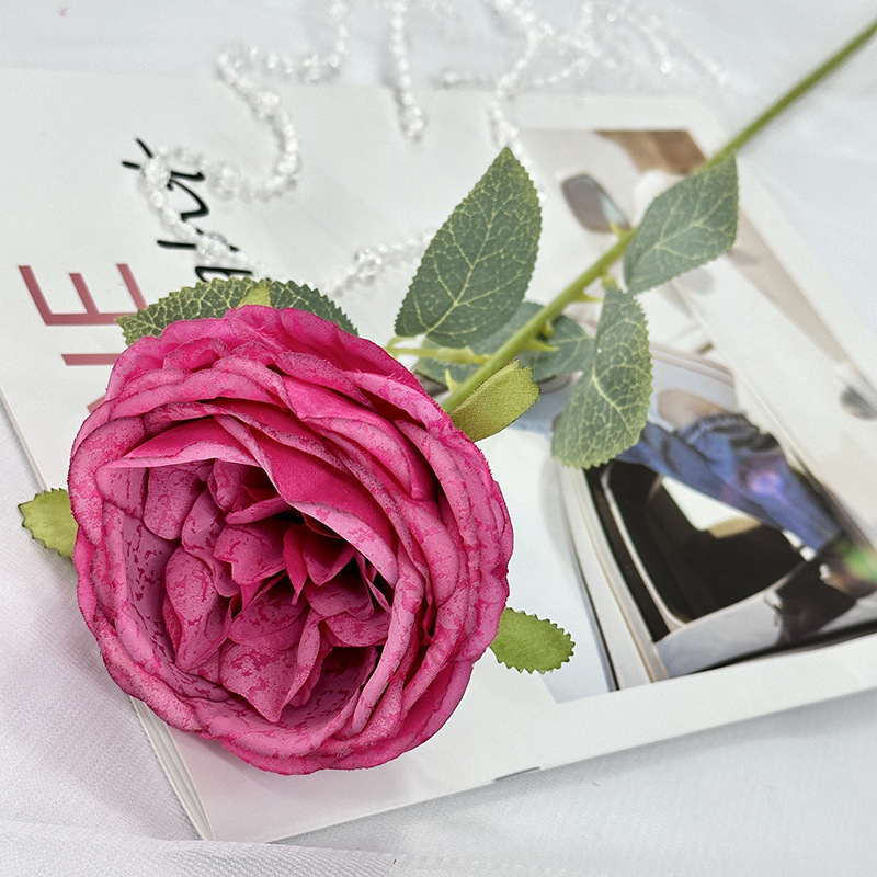 Rose rouge