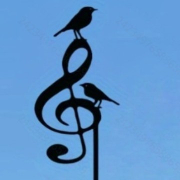 Note d'oiseau-noir