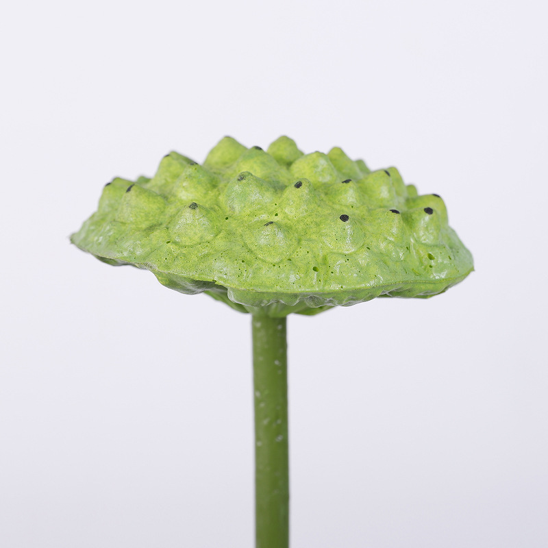 Seedpod1 #