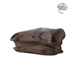 Esqueleto de dinossauro real simulado grande modelo artificial caveira fóssil de dinossauro