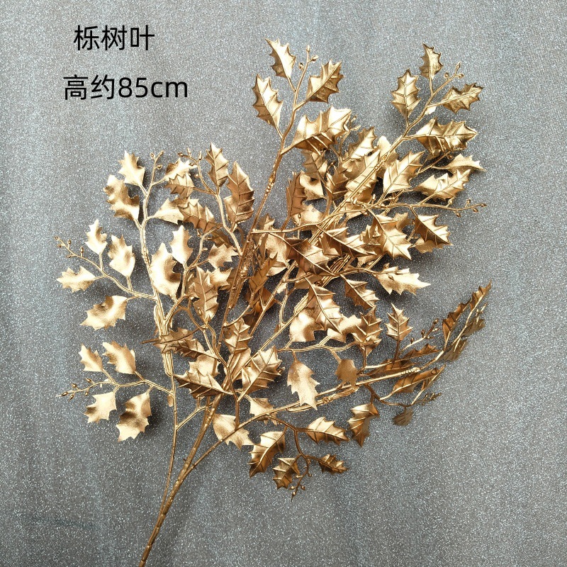 Cymbidium leaves