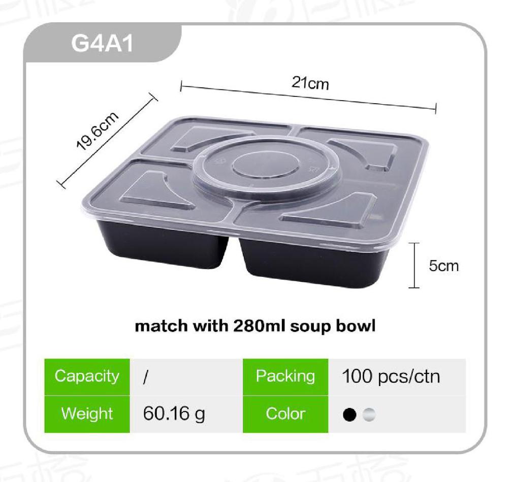 G4A1 4+1compartments