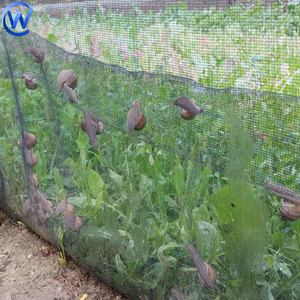 Hdpe with Uv Breeding Snailsアンチエスケープファーミングネットカタツムリアンチリークネット90gsmブラックバリアネットforSnail Farm Pen Fence - Product Image 1