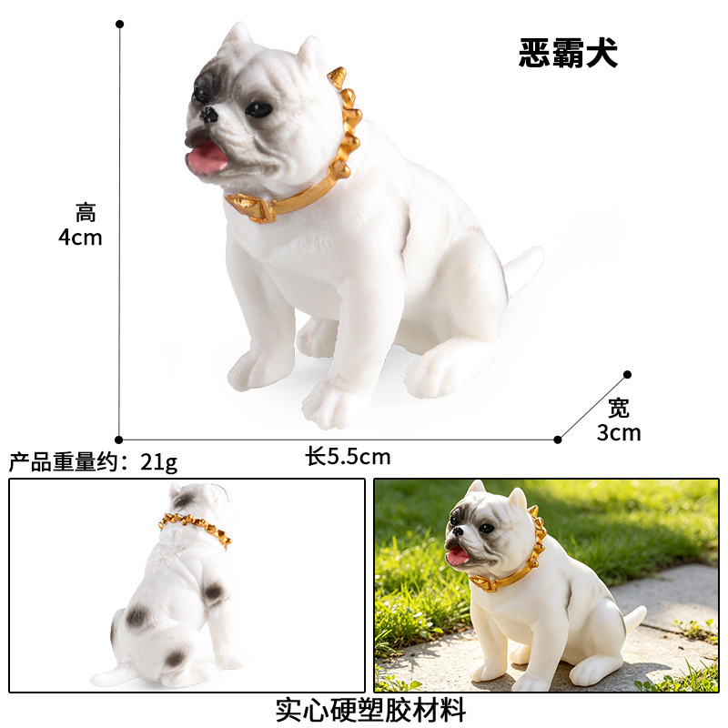 coloré 3594 Bully Dog