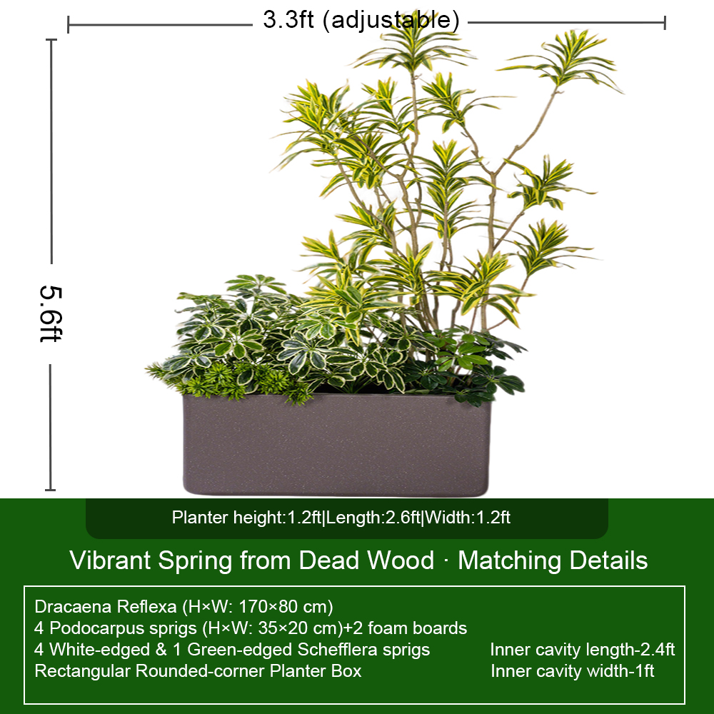 Conjunto gris de 1,70 m con Dracaena Reflexa y Podocarpus