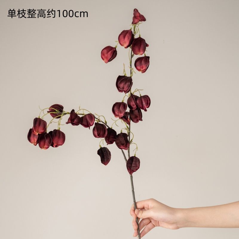 Fleur de lanterne rouge, tige unique