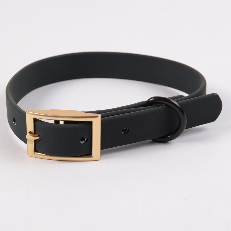 dog collar color 4
