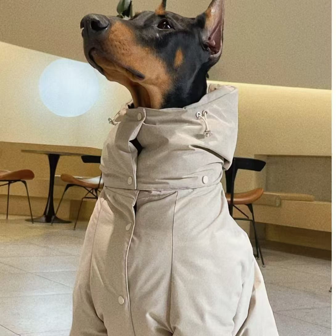 Veste en coton de couleur unie de style américain