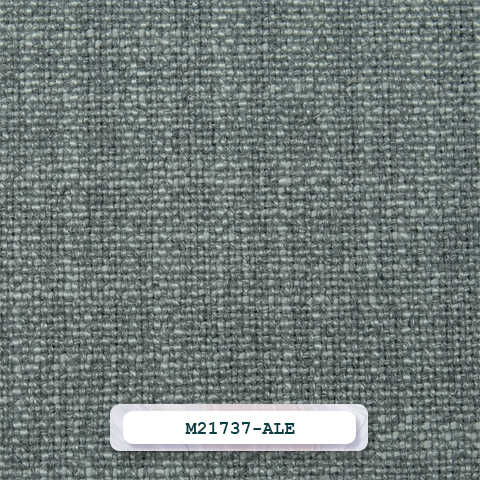 M21737-ALE