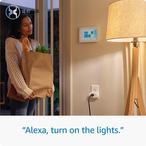 PXGJ Reino Unido Eu Home Alexa Google Control remoto WiFi Smart Plug Socket 16A 10A Rated Smart Home Plug - Product Image 4