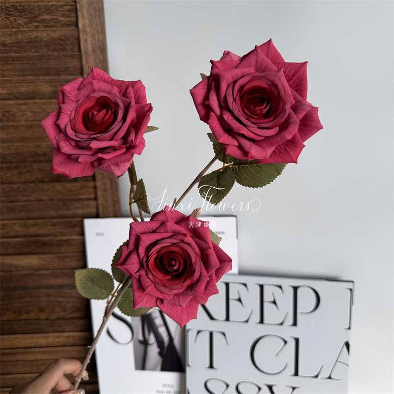 Manta Rose